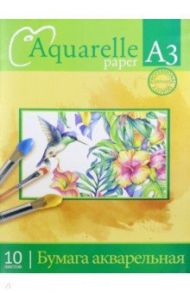 Папка для акварели "Колибри" (10 листрв, А3) (С0112-09)