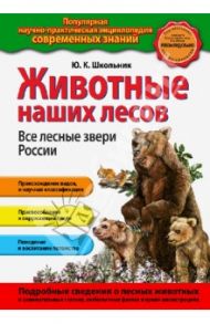 Животные наших лесов. Все лесные звери России / Школьник Юлия Константиновна