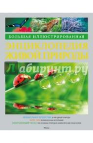 Большая иллюстрированная энциклопедия живой природы / Берни Дэвид