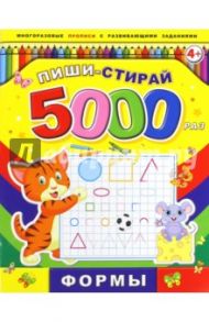 Пиши-стирай 5000 раз ФОРМЫ (39901)