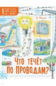 Что течёт по проводам? / Малов Владимир Игоревич