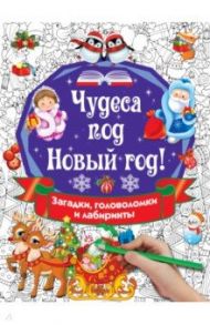 Чудеса под Новый год! Загадки, головоломки и лабиринты / Дмитриева Валентина Геннадьевна