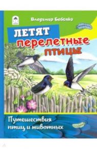 Летят перелётные птицы / Бабенко Владимир