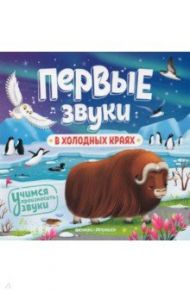 В холодных краях. Книжка-гармошка