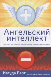 Берг Й Ангельский интеллект Книга о том как осознанно выбирать ангелов приходящих в нашу жизнь