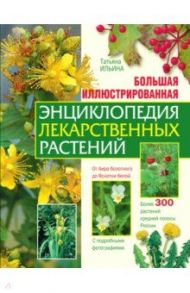 Большая иллюстрированная энциклопедия лекарственных растений / Ильина Татьяна Александровна