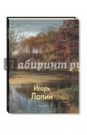 Игорь Лапин / Погодин Владимир, Шабанова Полина