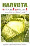 Капуста от посева до урожая