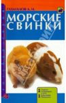 Морские свинки. Породы. Содержание и уход. Кормление. Разведение / Рахманов Александр Иванович
