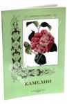 Камелии / Иванов С.