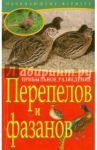 Прибыльное разведение перепелов и фазанов / Плотникова Татьяна Федоровна, Причко Екатерина Дмитриевна