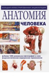 Иллюстрированный атлас. Анатомия / Роен Й. В., Йокочи К., Лютьен-Дреколл Э.