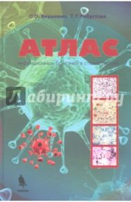 Атлас инфекционных болезней в стоматологии / Янушевич Олег Олегович, Робустова Татьяна Григорьевна