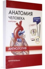 Анатомия человека. Ангиология. Карточки (45 штук) / Сапин Михаил Романович, Николенко Владимир Николаевич, Тимофеева М. О.