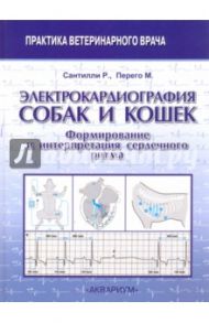 Электрокардиография собак и кошек. Формирование и интерпретация сердечного ритма / Сантилли Роберто А., Перего Мануэла