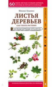 Листья деревьев. Как узнать растение. Наглядный карманный справочник / Куценко Михаил Евгеньевич