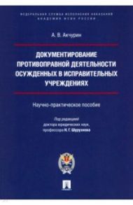 Документирование противоправной деятельности осужденных в исправительных учреждениях / Акчурин Александр Владимирович