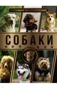Большая энциклопедия. Собаки / Вайткене Любовь Дмитриевна, Филиппова Мира Дмитриевна, Барановская Ирина Геннадьевна