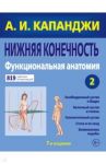 Нижняя конечность. Функциональная анатомия (обновленное издание) / Капанджи Адальберт И.