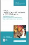 Птица сельскохозяйственная и пернатая дичь. Характеристика, биологические особенности, идентиф. СПО / Позняковский Валерий Михайлович, Рязанова Ольга Александровна