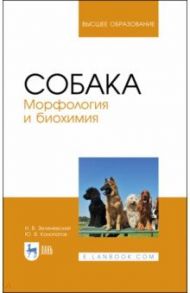 Собака. Морфология и биохимия. Учебное пособие / Зеленевский Николай Вячеславович, Конопатов Юрий Васильевич