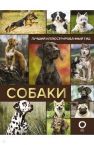 Собаки. Лучший иллюстрированный гид / Вайткене Любовь Дмитриевна, Филиппова Мира Дмитриевна, Барановская Ирина Геннадьевна