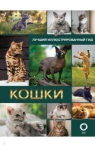 Кошки. Лучший иллюстрированный гид / Непомнящий Николай Николаевич