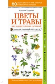 Цветы и травы. Мир удивительных растений / Куценко Михаил Евгеньевич