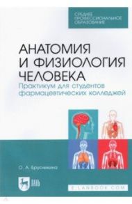 Анатомия и физиология человека. Практикум для студентов фармацевтических колледжей / Брусникина Ольга Алексеевна