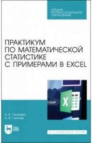 Практикум по математической статистике с примерами в Excel. СПО / Ганичева Антонина Валериановна