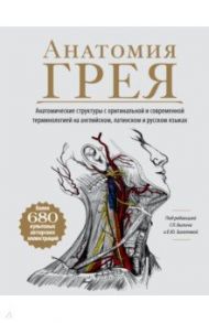 Анатомия Грея. Анатомические структуры с оригинальной и современной терминологией / Билич Габриэль Лазаревич, Зигалова Елена Юрьевна