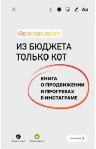 Из бюджета только кот. Книга о продвижении и прогревах в инстаграме / Сабылинская Оля