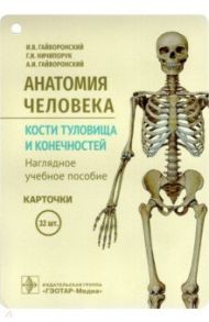 Анатомия человека. Кости туловища и конечностей. Карточки / Гайворонский Иван Васильевич, Гайворонский Алексей Иванович, Ничипорук Геннадий Иванович