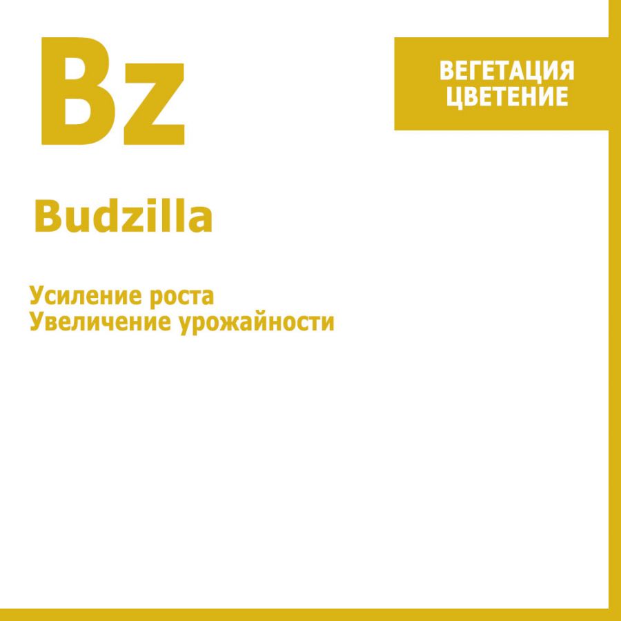 Budzilla, 1 литр