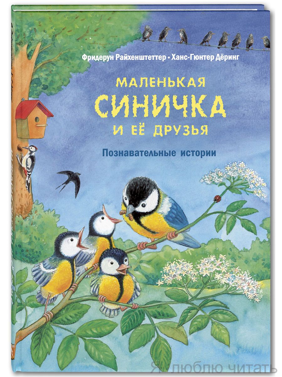 Маленькая синичка и её друзья