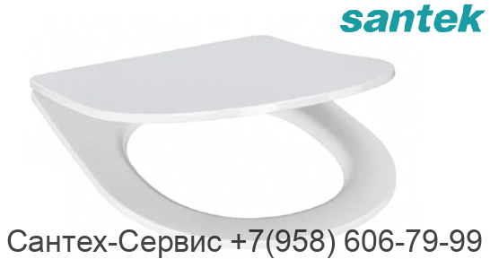 1.WH30.2.485 Сиденье с крышкой для унитаза Santek Остин