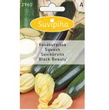 Suvipiha Цуккини BLACK BEAUTY