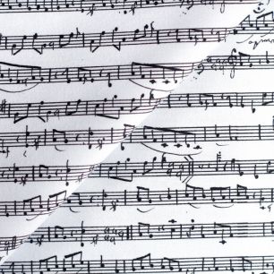 Хлопок - Ноты на белом 25х75 см limit