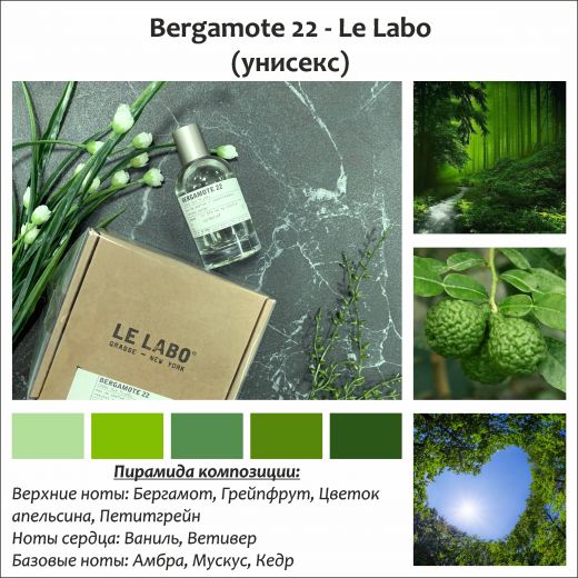 ~Bergamote 22 (u) ~