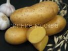 KARTOFEL' IMPERATRICA, 2 kg