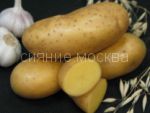 KARTOFEL' IMPERATRICA, 2 kg