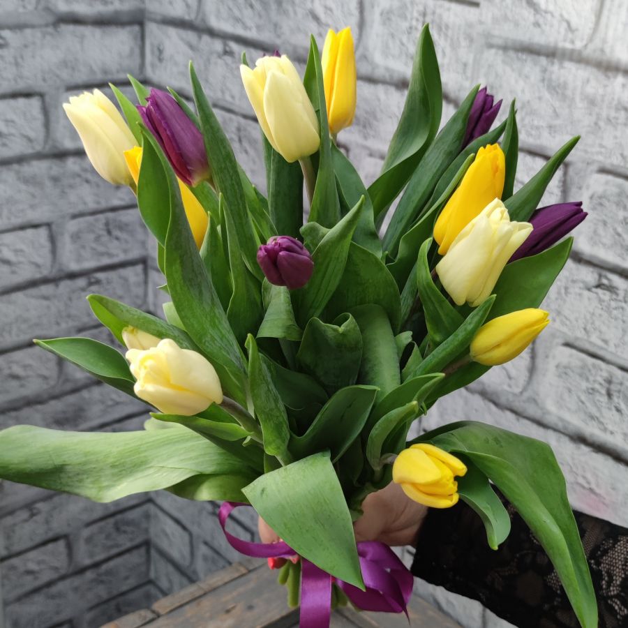 Тюльпаны микс (от 15 шт)Голландский