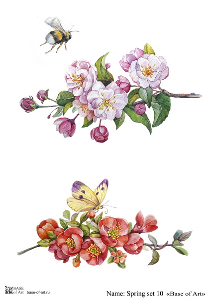 Декупажная карта Base of art, 20*30 см, Spring set 10