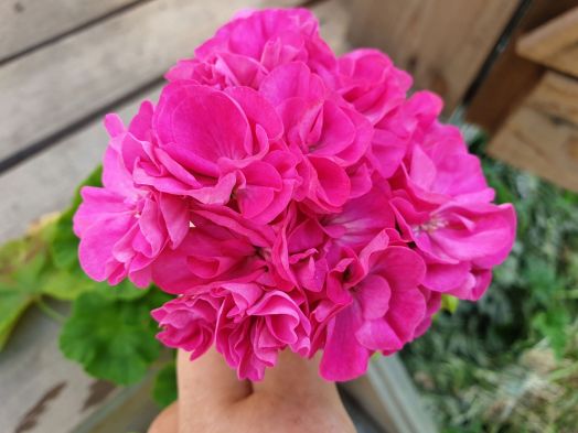 Barnstondale № 0106