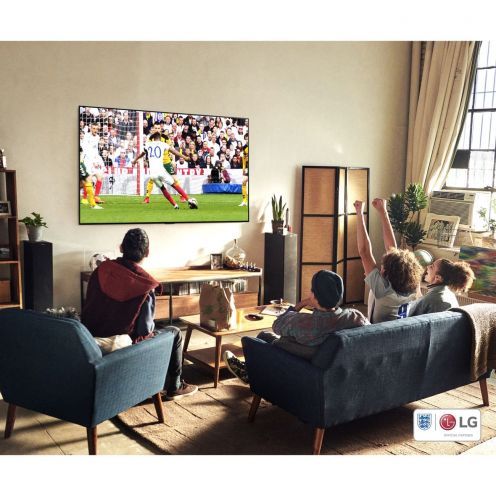 Телевизор LG OLED65A1
