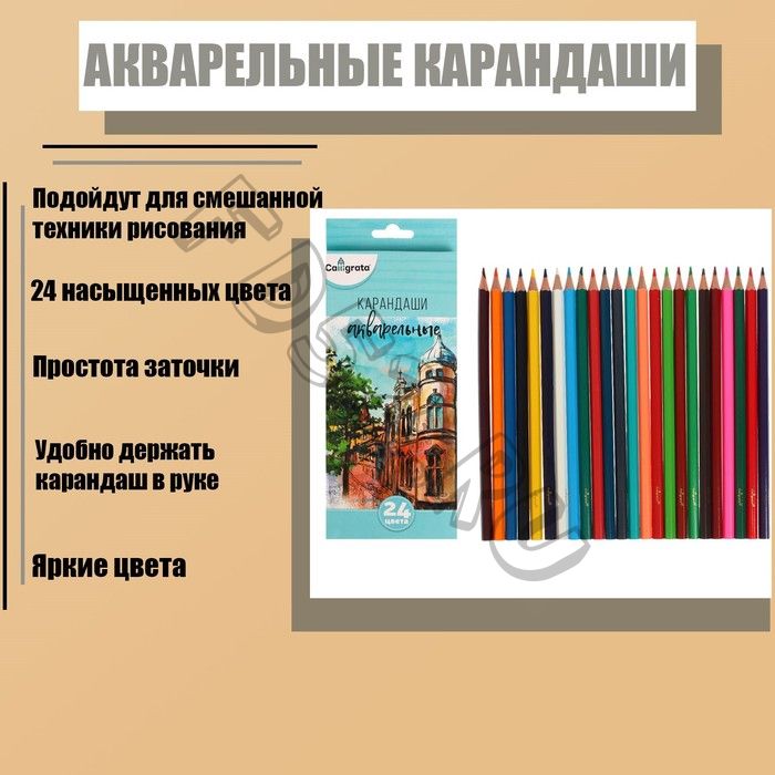 Карандаши 24 цвета, в картонной коробке, заточенные, «Акварельные»