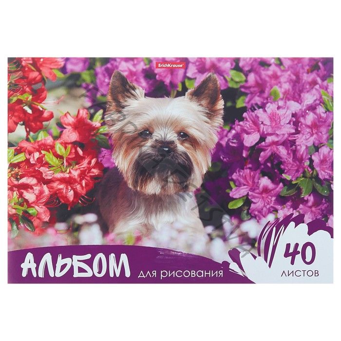 Альбом для рисования А4, 40 листов, на клею Erich Krause «Жизнь в цветах», блок 120 г/м2, обложка мелованный картон 170 г/м2, жёсткая подложка 360 г/м2, белизна 100%