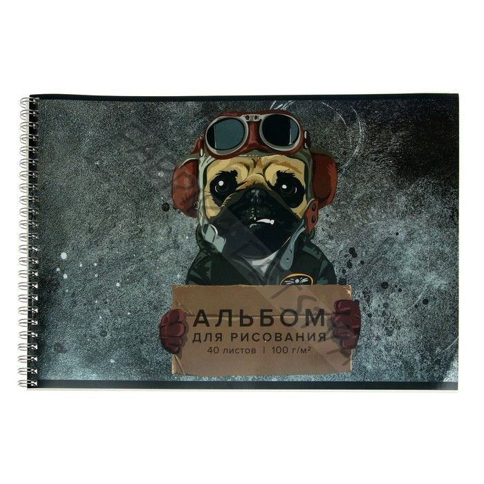 Альбом для рисования А4, 40 листов на гребне "Пес летчик", обложка мелованный картон, металлическая плёнка, УФ-лак