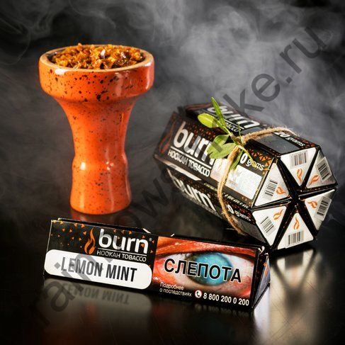 Burn 25 гр - Lemon Mint (Лимон с Мятой)