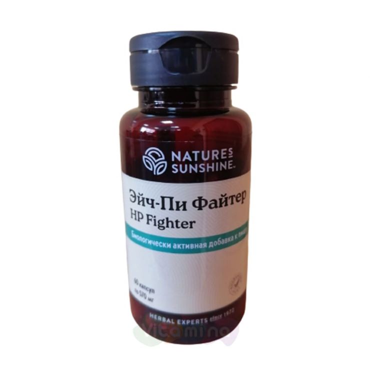H-P Fighter (Эйч-Пи Файтер)